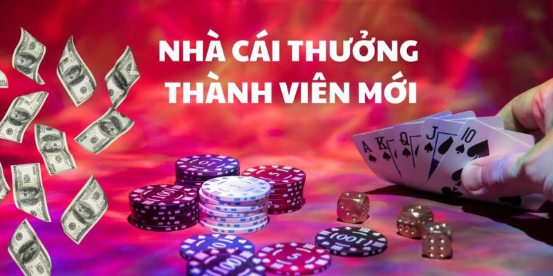 Lý do nên quan tâm chương trình nhà cái tặng tiền baokhuyenmai